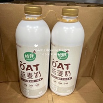 OAT澳洲进口燕麦谷物浓浆饮品伊利植鲜燕麦奶1.3L*2桶 costco代购