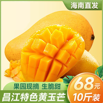 黄玉芒果10斤礼盒装包邮海南昌江特产水果当季现摘生吃酸脆甜整箱