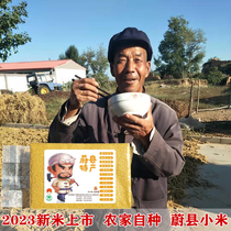 2023年新蔚州贡米桃花宝宝黄糯小米羊肥大白谷农家自种现磨5斤/包