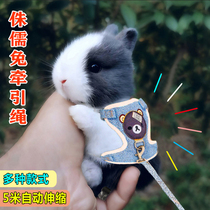 幼兔侏儒兔子专用小衣服小兔子牵引绳幼兔侏儒兔专用防挣脱溜兔绳
