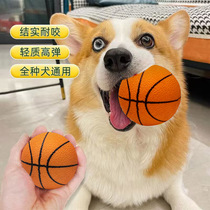 狗狗玩具球耐咬篮球宠物实心足球遛狗球大型犬磨牙弹力球训狗用品