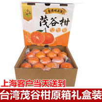 新产季茂谷柑台湾品种新鲜水果柑橘桔子口感纯正橘香味整箱10斤