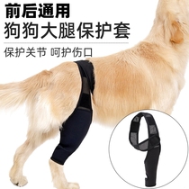 宠物前后腿部骨折固定狗狗大腿肘部护具辅助瘸腿护膝术后受伤保护