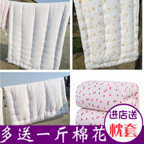 冬季新疆纯棉花被芯被子冬被双人床加厚保暖春秋被6/7/8/10斤棉被