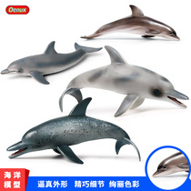 儿童玩具实心塑胶斑点海豚加湾鼠海豚仿真海洋海底动物模型摆件