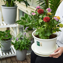 抗晒仿瓷树脂花盆办公室家用阳台绿萝多肉植物专用花盆大口径塑料