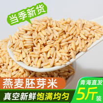 新米燕麦米全胚芽燕麦米5斤米饭伴侣五谷杂粮粗粮农家裸燕麦粥饭