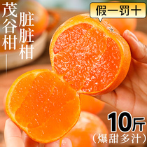 广西武鸣茂谷柑10斤新鲜水果当季桔子脏脏柑橘石灰柑沃柑整箱包邮