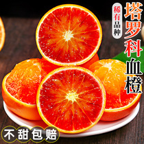 四川塔罗科血橙10斤当季新鲜水果中华红心橙手剥果冻甜橙雪橙包邮