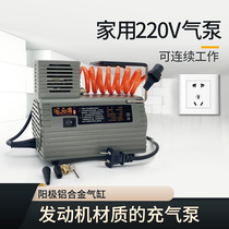 台湾风劲霸220V家用便携汽车轮胎打气泵气柱泡袋电动充气机PM200