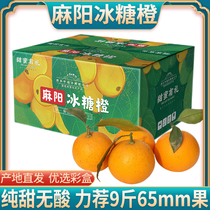 新鲜湖南麻阳冰糖橙橙子9斤礼盒当季水果整箱10纯甜口感榨汁