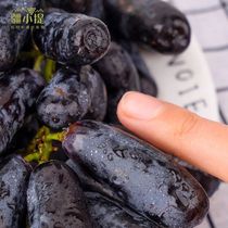 新疆特产吐鲁番蓝宝石金手指4斤美人指葡萄（应季鲜果）