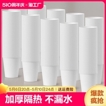 一次性杯子纸杯加厚家用1000只装整箱批水杯商用双层隔热饮料喝水