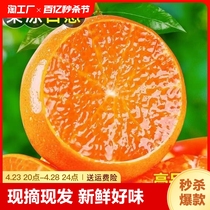 四川果冻橙8斤橙子水果新鲜当季整箱38号爱媛桔子大果现摘精选