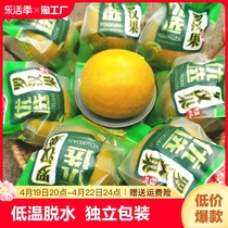 广西桂林黄金罗汉果低温脱水干果泡茶独立包装特产正品特级批发
