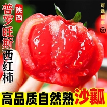 西红柿新鲜普罗旺斯自然熟蔬菜草莓柿子水果生吃沙瓤番茄顺丰大果