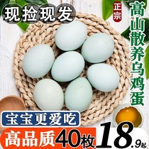 正宗农家散养乌鸡蛋新鲜绿壳草鸡蛋40枚无菌绿皮土鸡蛋柴鸡蛋蔬菜