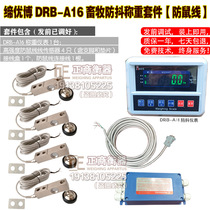 自制小地磅配件地磅全套配件DRB-A16畜牧仪表防鼠线传感器电子秤