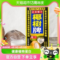 椰树椰奶椰子汁饮料植物蛋白椰汁1000ml*2盒/组正宗椰树牌特产