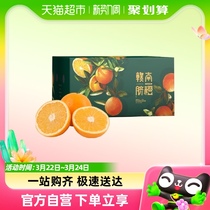江西赣州寻乌赣南脐橙5斤装单果85mm+新鲜水果时令整箱包邮