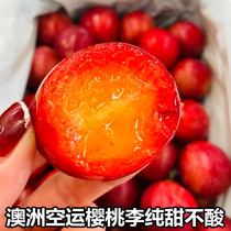 现货澳洲樱桃李2KG大果40-44纯甜新鲜时令水果大李子礼盒顺丰