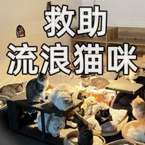 购买明信片帮助阜阳小动物应急救援基地照顾救助流浪猫猫动物猫粮