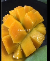 西双版纳特产 新鲜水果 泰国青皮芒果 甜脆生吃芒5斤包邮