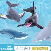仿真海洋动物海底生物模型玩具大白鲨鲨鱼虎鲸海豚抹香鲸儿童早教